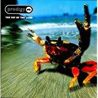Fat of the Land [Vinilo]